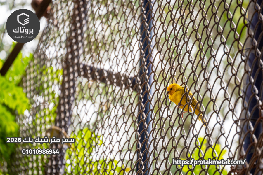 سعر متر شيك بلك 2026